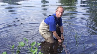 Hoofdafbeelding Waterplantenspecialist Van der Werf CV